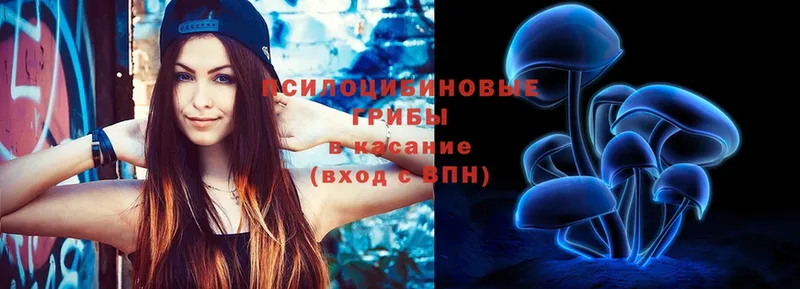 площадка состав  где купить наркоту  Кола  Галлюциногенные грибы Psilocybe  ОМГ ОМГ рабочий сайт 